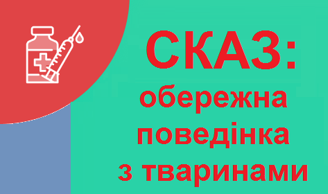 Чому не можна гладити незнайомих тварин – розповідаємо дітям