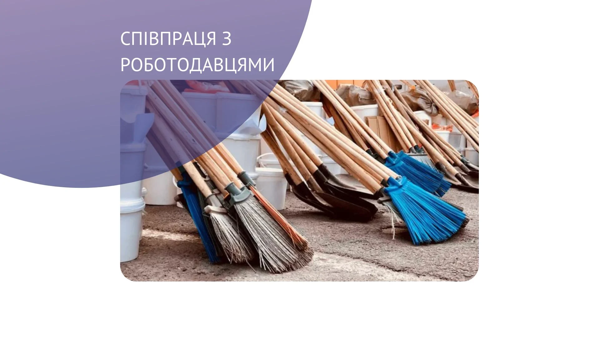 Власна справа: Івано – Франківщина у трійці лідерів