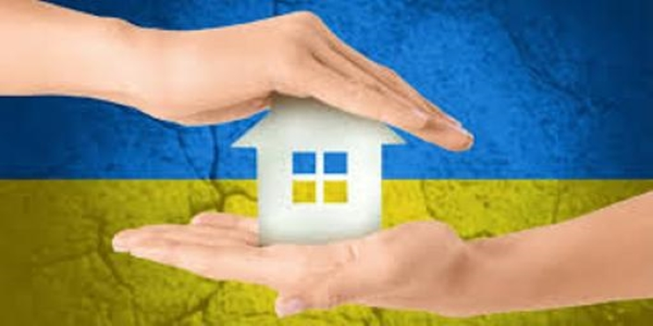 Проєкт “Прихисток”