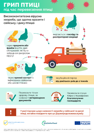 Грип птиці: як уникнути захворювання при перевезенні птиці