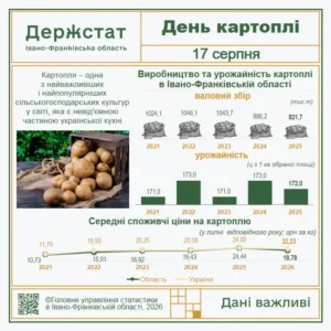 Інфографіка до Дня картоплі